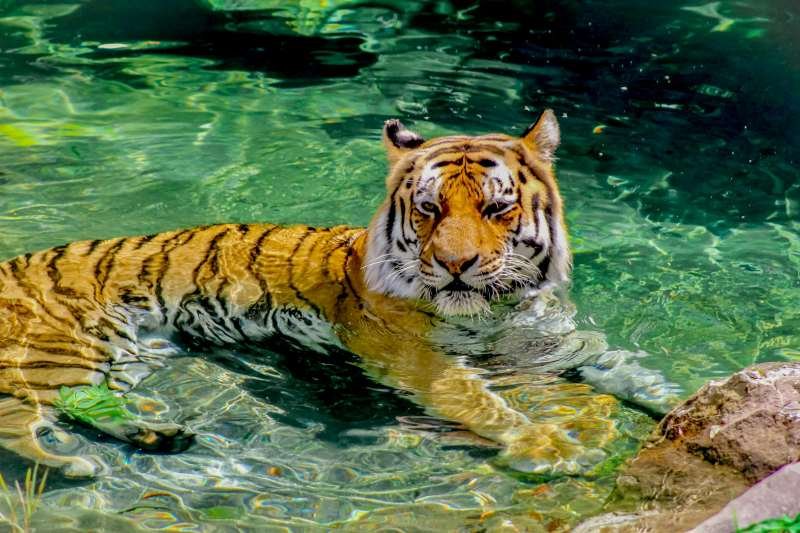 Thailand Sightseeing Tours NT Holidays